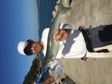 今日は、ぼらを吸い込みでゲット＾＾口太クロもゲット。